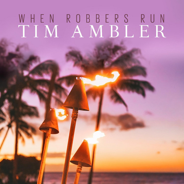 When Robbers Run cover