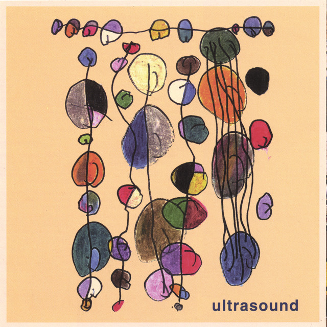 Ultrasound cover