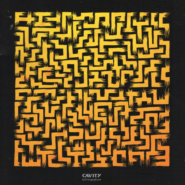 Laid Insignificant cover art