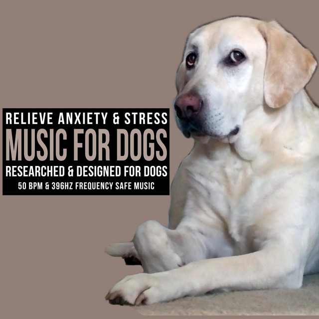 Music For My Dog