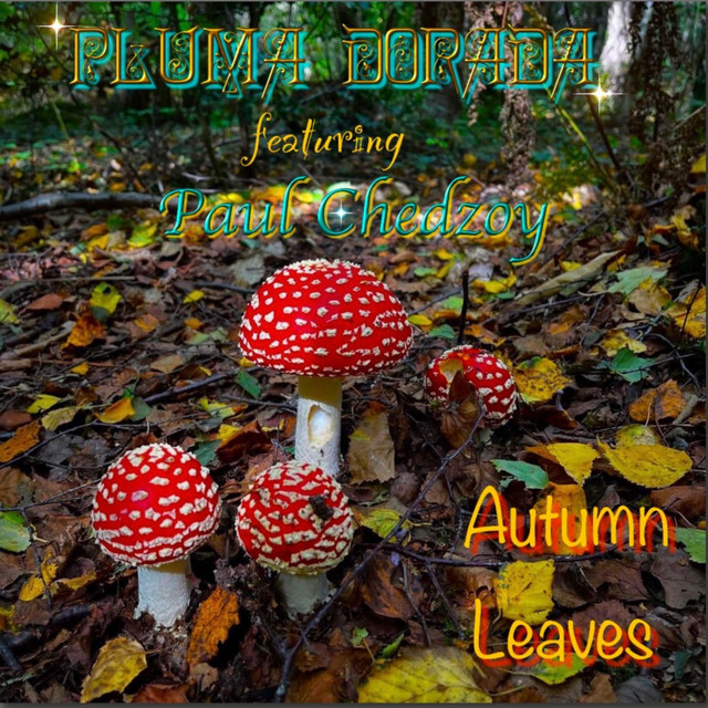 Ab67616d0000b273508fe8d200aaff72d6c20f2c