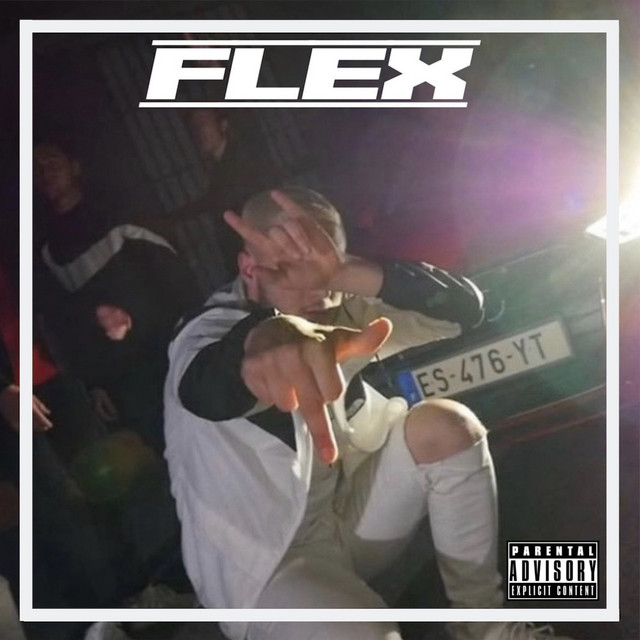 Flex cover art