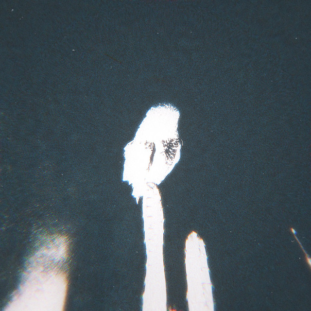 ethos cover art