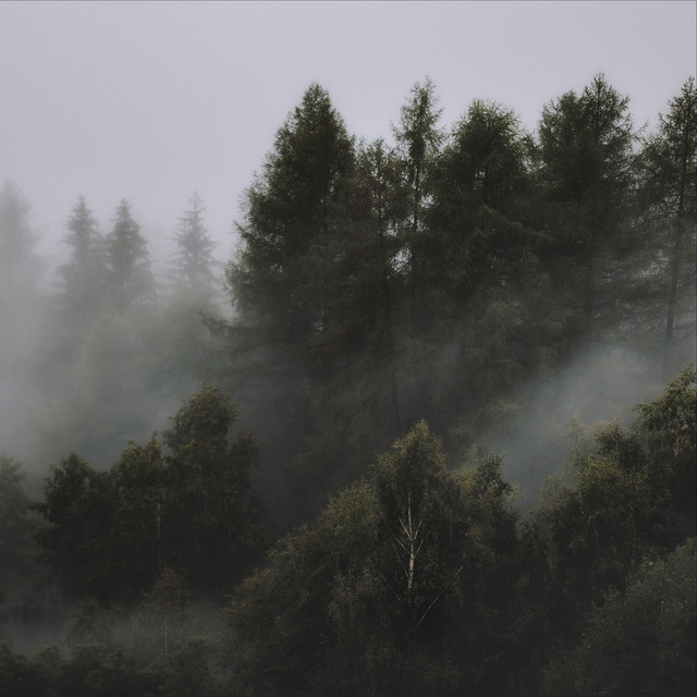 Therapeutic Recordings for Chilling Out cover art