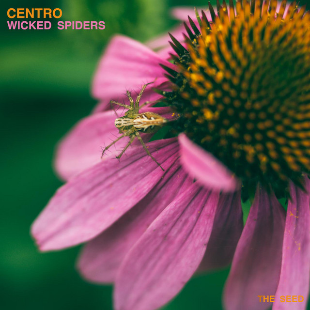 Wicked Spiders - Sappow Remix cover art