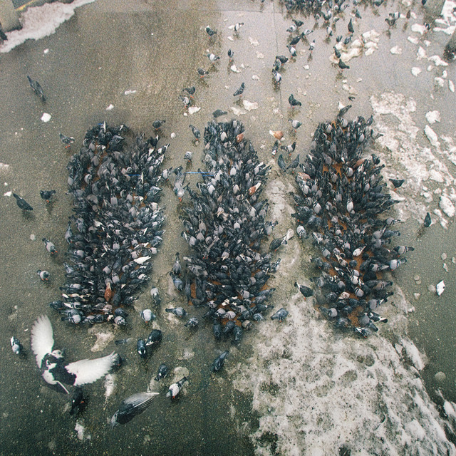 undefined album image