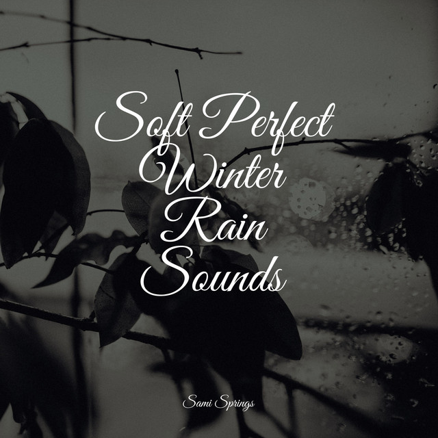 Relaxing Birdsong Ambience - song and lyrics by Organic Nature Sounds ...