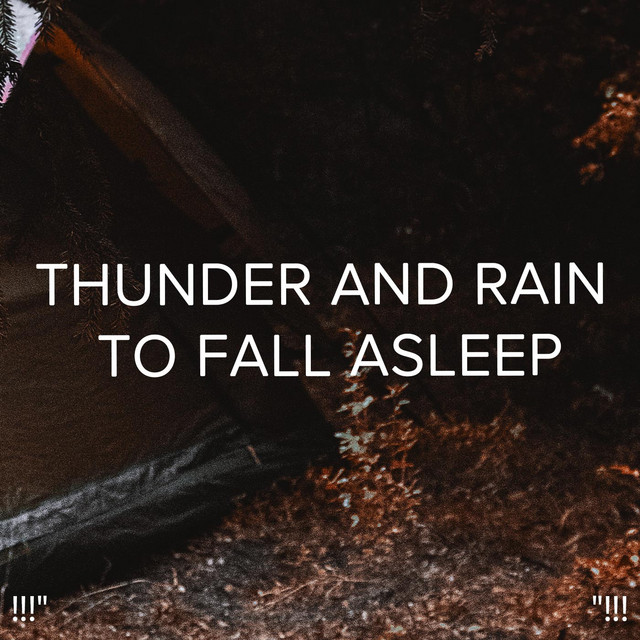 !!!" Thunder and rain to Fall asleep"!!! cover art