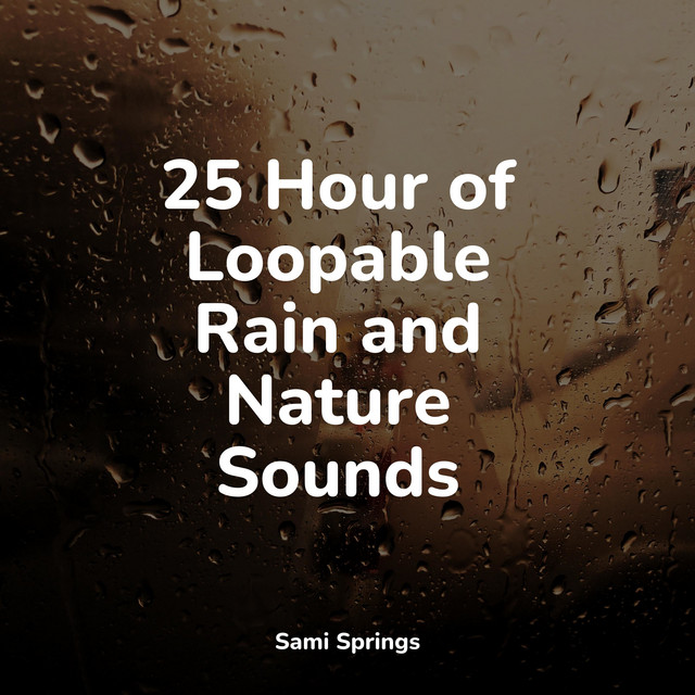 25 Hour of Loopable Rain and Nature Sounds - Album by Wellness | Spotify