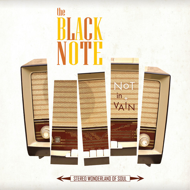 Not in Vain cover art