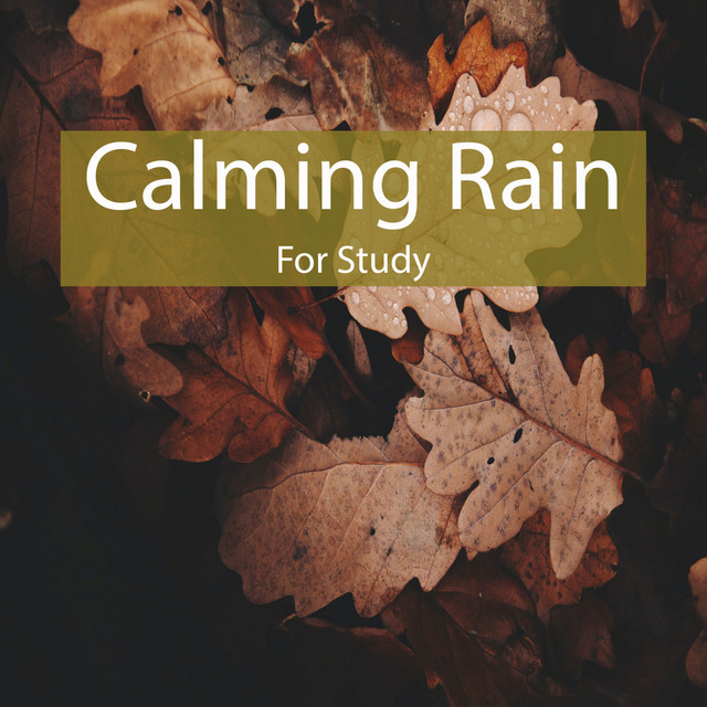 Calming Rain for Study cover art