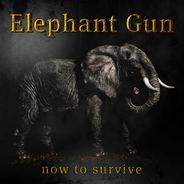 Now to Survive cover art