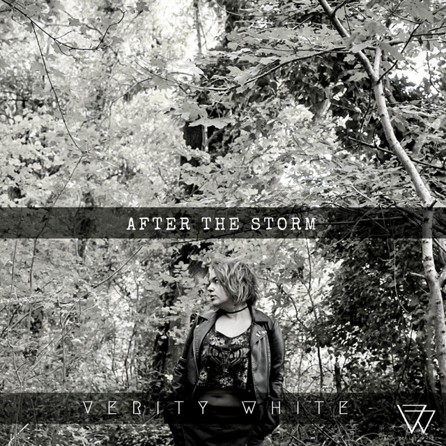 After The Storm cover