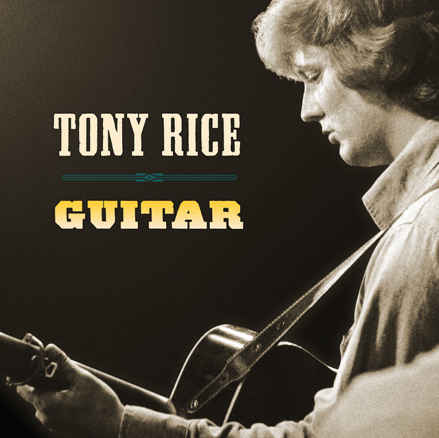 Guitar cover art