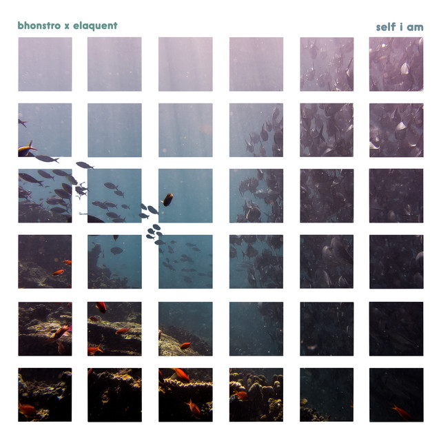 Self I Am cover art