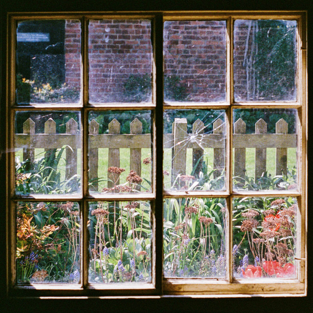 I Could Stay Forever album image