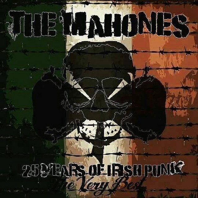 25 Years Of Irish Punk: The Very Best cover