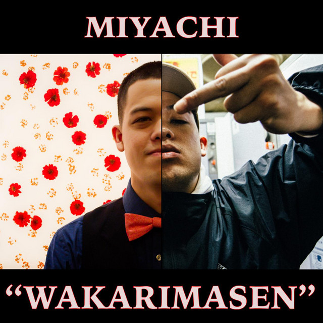 Wakarimasen