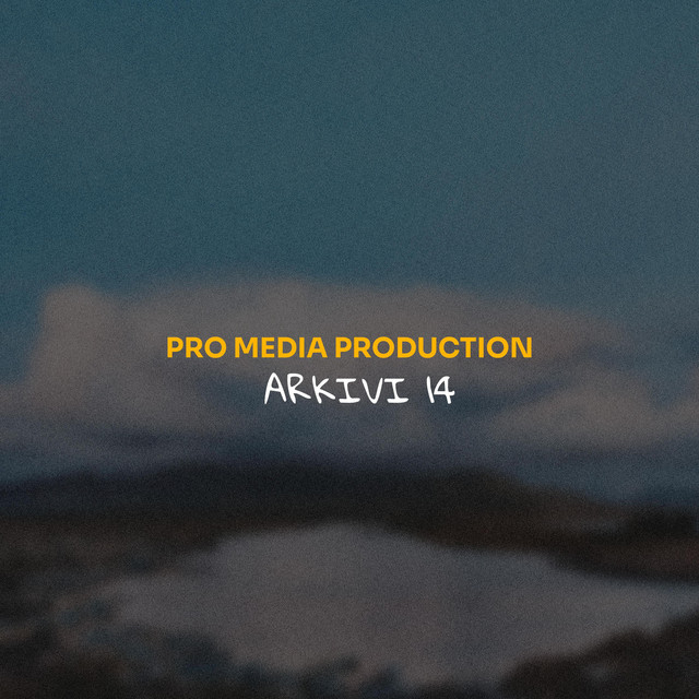 Produksioni Pro Media cover art