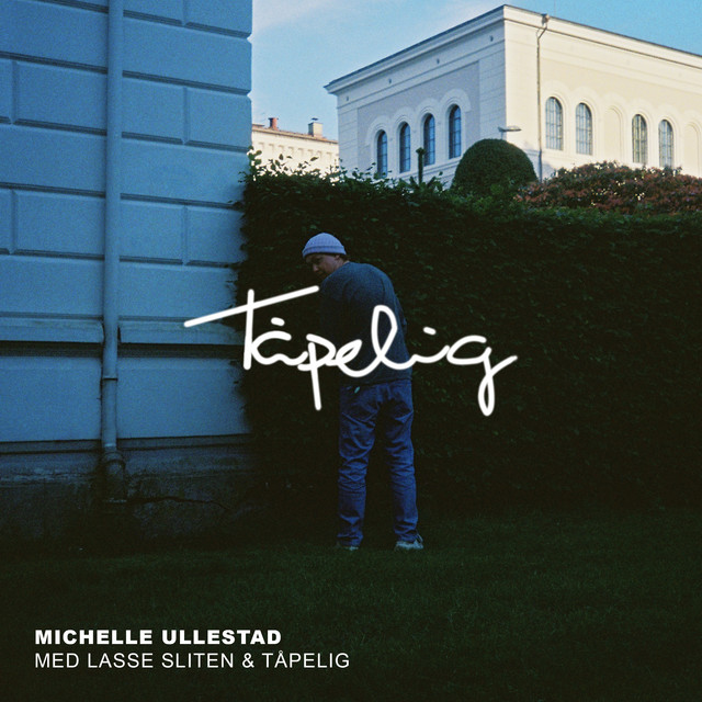 Tåpelig (feat. Lasse Sliten & Tåpelig) cover