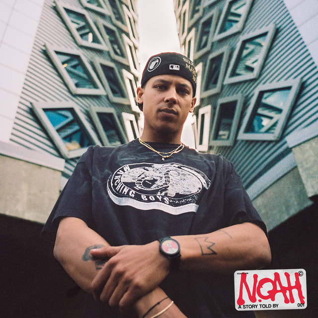 Survival of the Fittest / Noahlogie cover art