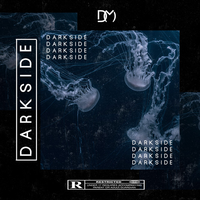 Darkside cover art