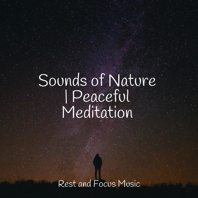 Sounds of Nature | Peaceful Meditation - Album by Studying Music | Spotify