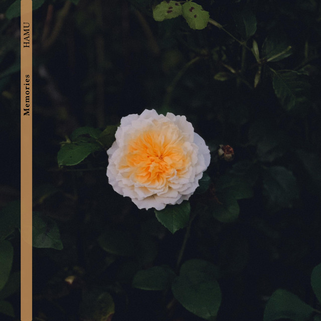 Memories cover