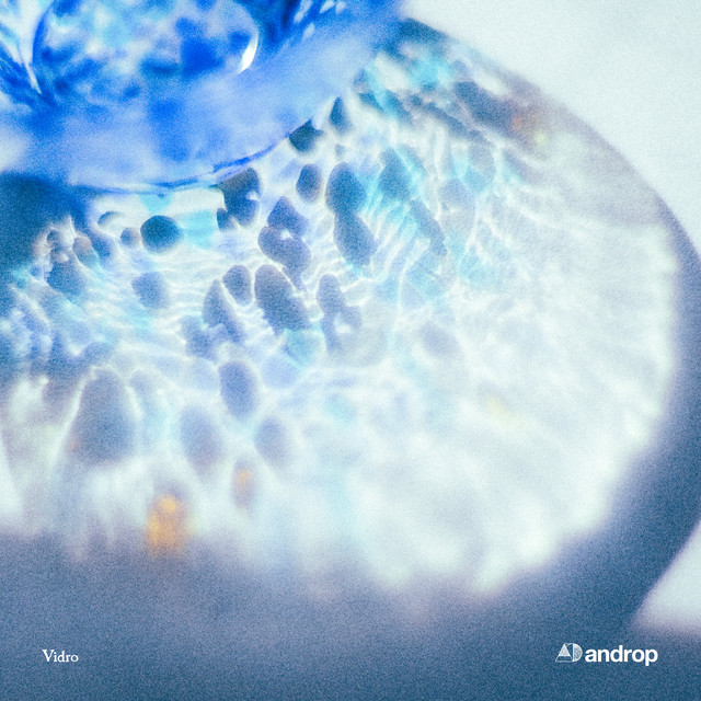 Vidro cover art