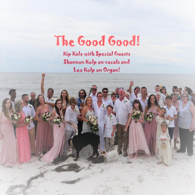 The Good Good cover