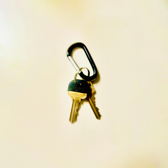 Key Facts cover art