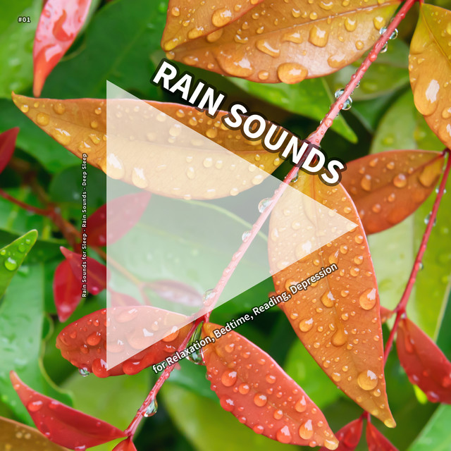#01 Rain Sounds for Relaxation, Bedtime, Reading, Depression cover art