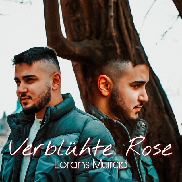 Verblühte Rose