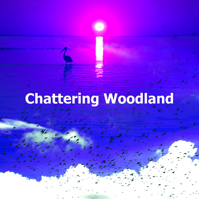 Chattering Woodland - Album by Descansa | Spotify