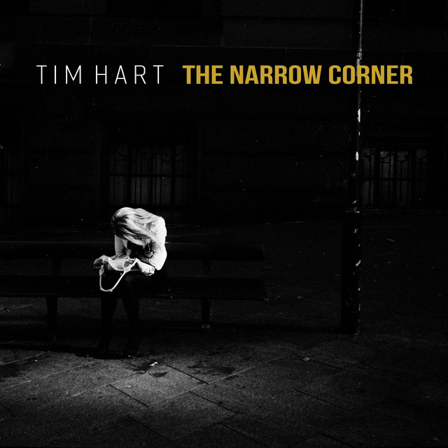 The Narrow Corner cover art