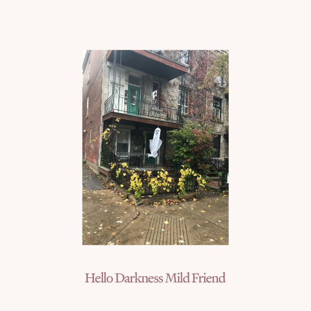 Hollow cover art