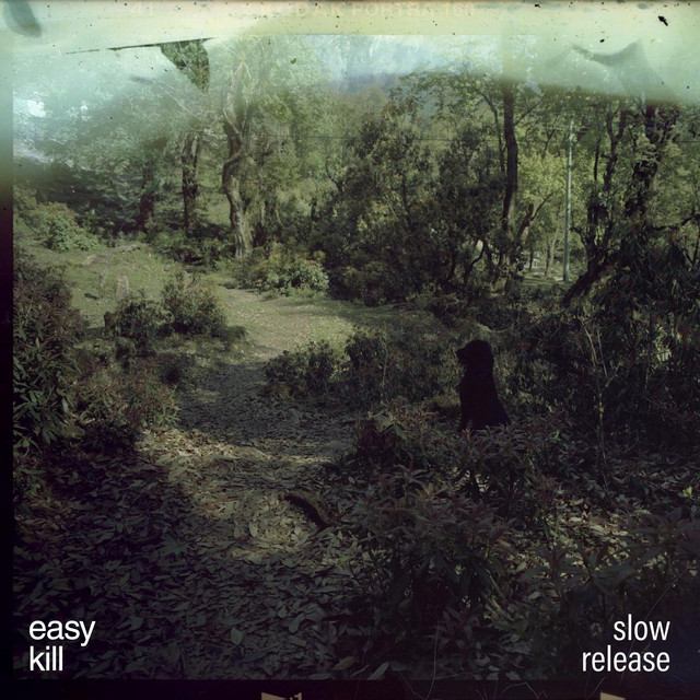 Slow Release cover