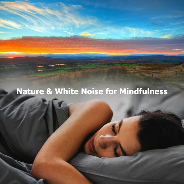 Nature & White Noise for Mindfulness - Album by Relax Meditate Sleep ...