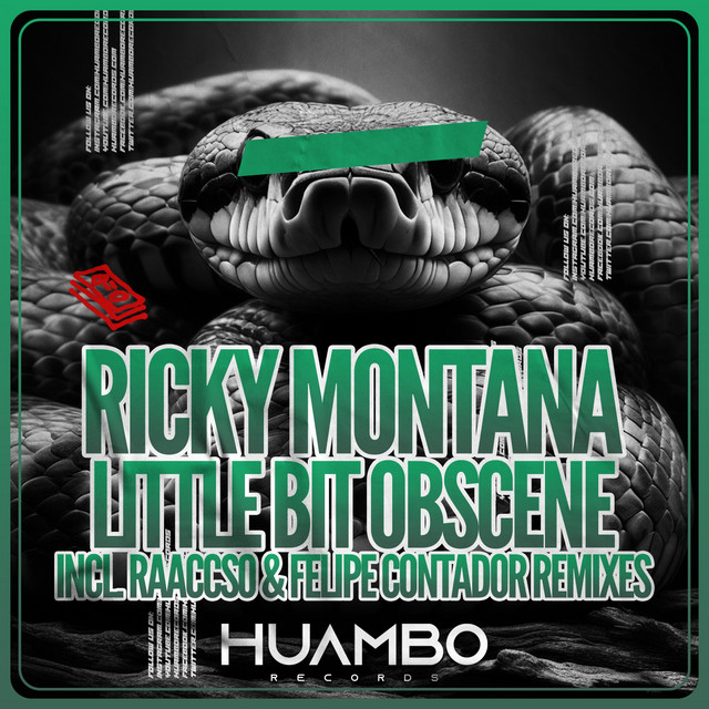 Little Bit Obscene cover art