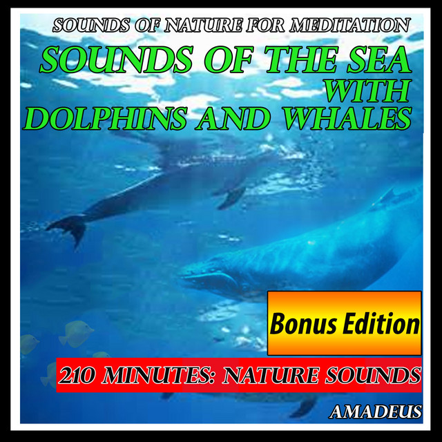 Sounds of Nature for Meditation: Sounds of the Sea with Dolphins and Whales: Bonus Edition cover art