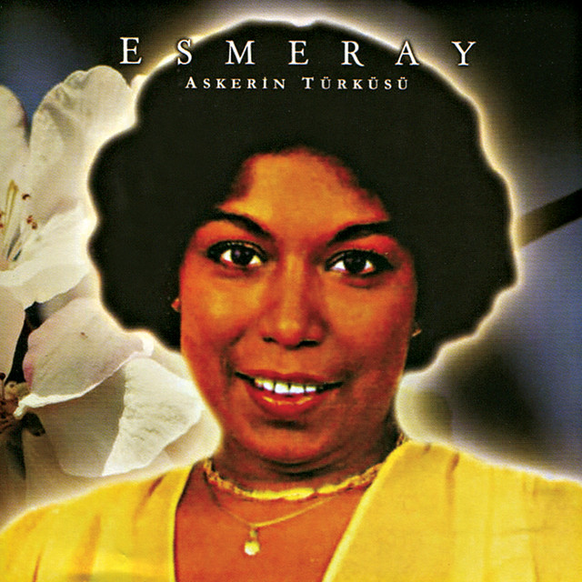 Askerin Türküsü - Oğlum cover art