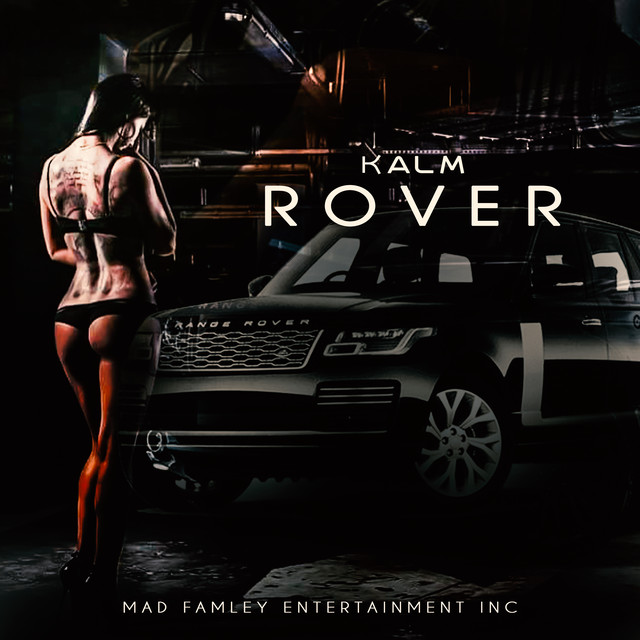 Rover cover