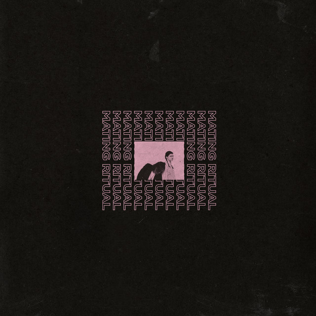 Light Myself on Fire cover art