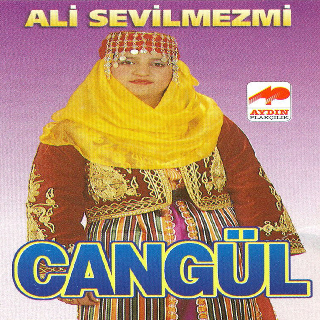 Ali Sevilmezmi cover art