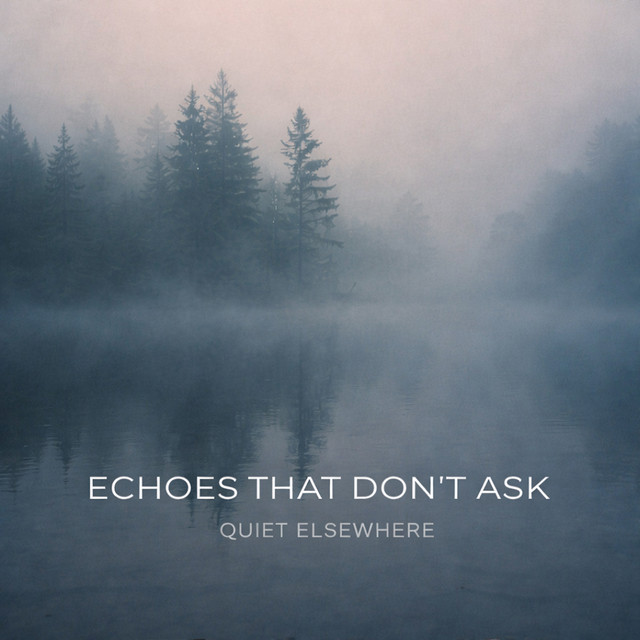 Echoes That Don't Ask cover art