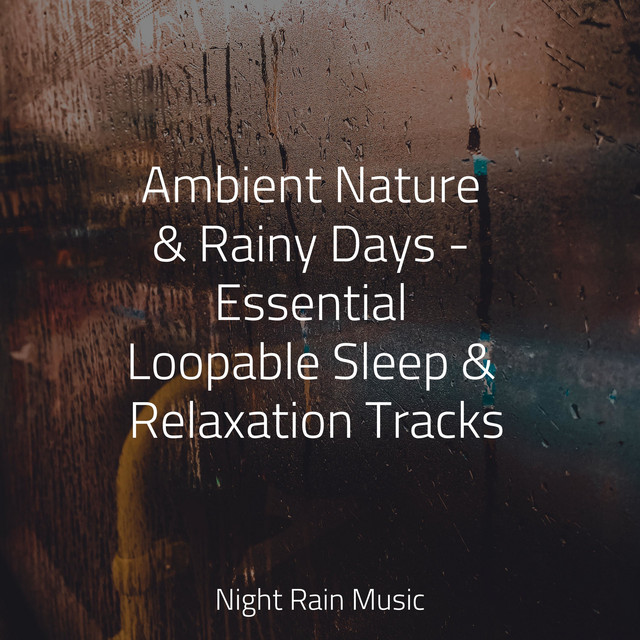 Ambient Nature & Rainy Days - Essential Loopable Sleep & Relaxation Tracks cover art