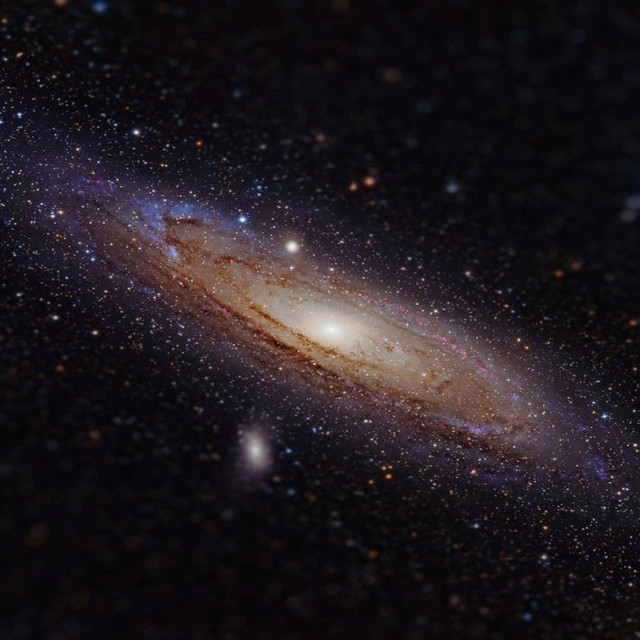 Andromeda cover art