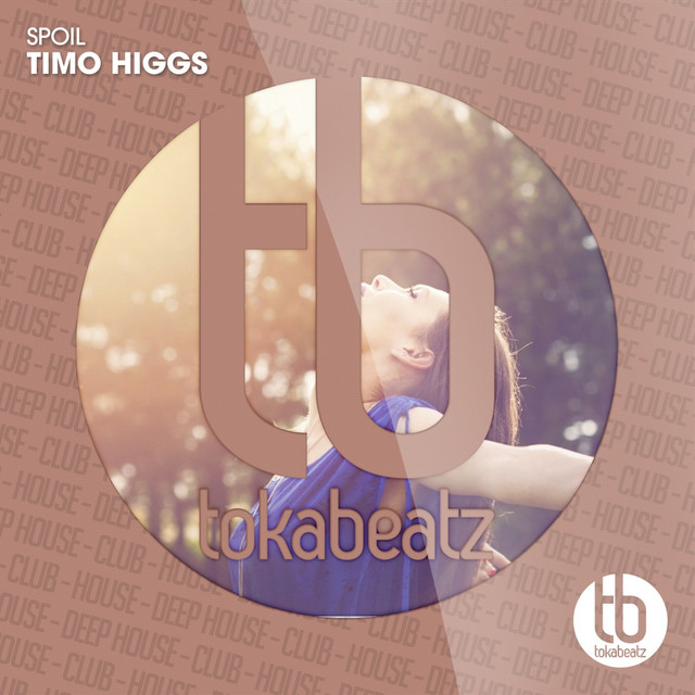 Spoil (Steve Murano Remix) - Single by Timo Higgs | Spotify