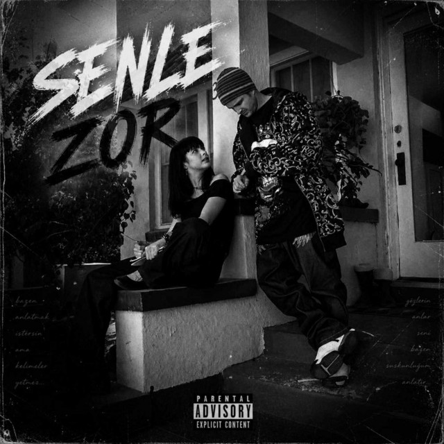 Senle Zor
