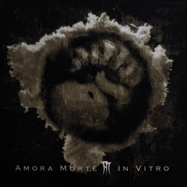Amora Morte Photo